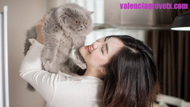 Manfaat Pelihara Kucing Di Rumah, Bisa Rubah Mood Kamu Jadi Happy!