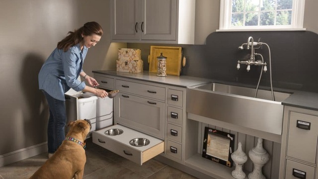 Fasilitas Apartemen Pet Friendly