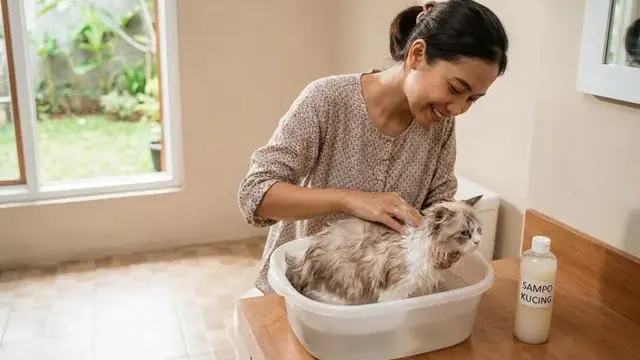 Produk Pet Care Terbaik